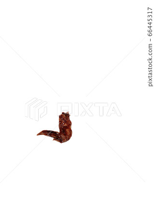 Yakitori chicken wings image Yakitori chicken wings image 66445317