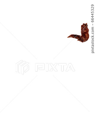 Yakitori chicken wings image Yakitori chicken wings image 66445329