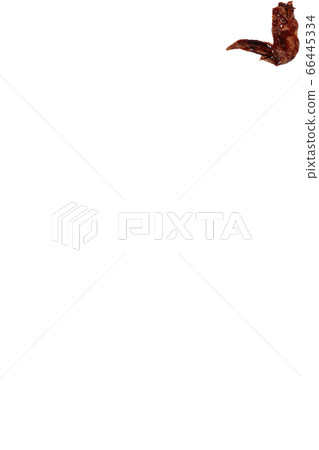 Yakitori chicken wings image Yakitori chicken wings image 66445334