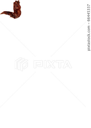 Yakitori chicken wings image Yakitori chicken wings image 66445337