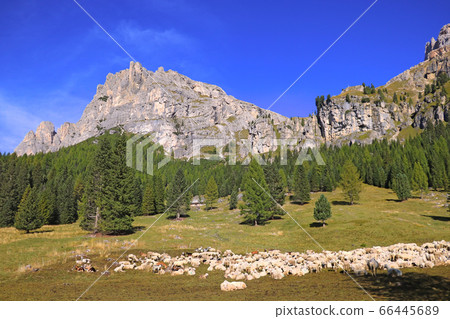 Beautiful view of the Dolomites in Italy. Out of 66445689