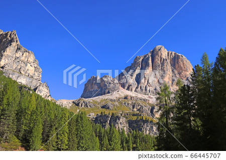 Dolomite Mountains and Forest - Dolomites, Italy, Dolomite Mountains and Forest - Dolomites, Italy, 66445707