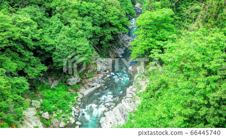 Hatonosu Valley 66445740