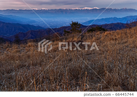 從南大松山/大倉丸丸看到的晨光中的南阿爾卑斯山和甲府盆地的城市景觀 從南大松山/大倉丸丸看到的晨光中的南阿爾卑斯山和甲府盆地的城市景觀 66445744