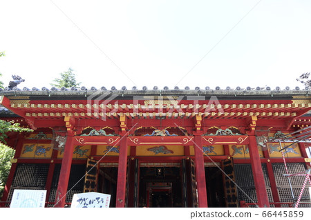 Asakusa Shrine 66445859