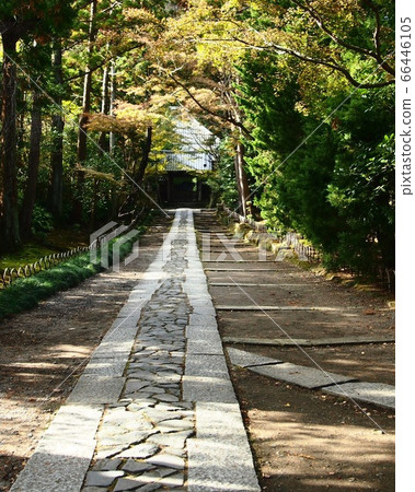 Stone pavement approach (Jufukuji Kamakura) 66446105