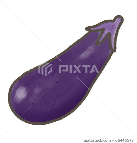 茄子 66446572