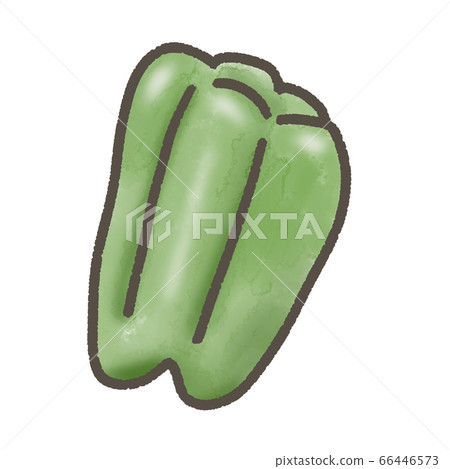 青椒 青椒 66446573