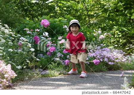 Run the flower path Run the flower path 66447042