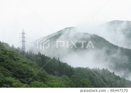 雨山 雨山 66447570