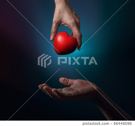 Donation Concept. a Donator hand Giving a Red 66448096