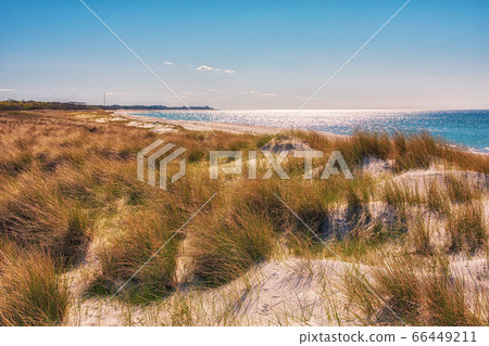 Landscape with dunes on the Baltic Sea coast in Landscape with dunes on the Baltic Sea coast in 66449211