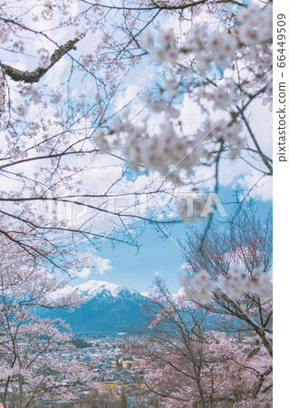 Spring scenery of Omachi City and the Northern Alps [Photo taken from Omachi Park and Omachi Mountain Museum] 66449509