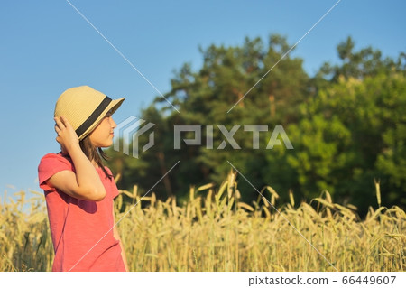 Portrait of beautiful girl in hat in wheat field Portrait of beautiful girl in hat in wheat field 66449607