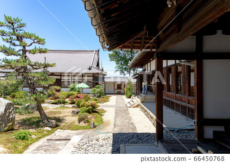 弘治寺1955 弘治寺1955 66450768