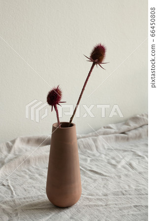 Two dry wildflowers with long stems in clay or ceramic handmade vase or jug Two dry wildflowers with long stems in clay or ceramic handmade vase or jug 66450808