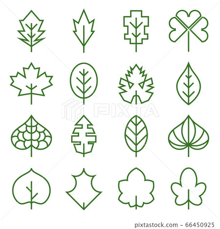 Leaf icons. Collection of abstract, unusual symbols of leaves. Vector illustration Leaf icons. Collection of abstract, unusual symbols of leaves. Vector illustration 66450925