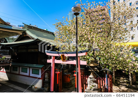 東京秋葉原柳森神社 66451194