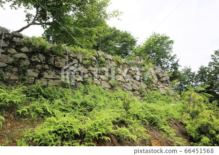 Izushi Castle 66451568