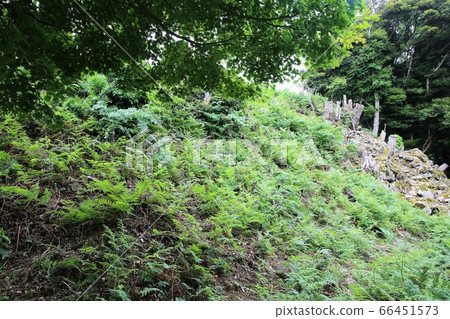 Izushi Castle 66451573