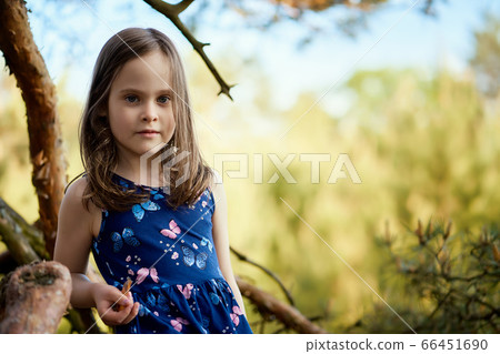 two girls in summer dresses are climbing a tree in the forest 66451690