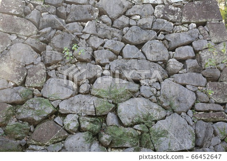 Yatsushiro Castle 66452647