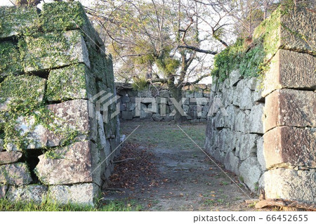 Yatsushiro Castle Yatsushiro Castle 66452655