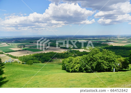 新嵐山空中公園展望台的景色 66452842
