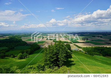 新嵐山空中公園展望台的景色 66452843