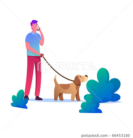 Man Walking with Dog Outdoors at Summertime. Male Character Speaking by Mobile Spending Time with Pet in Park 66453180