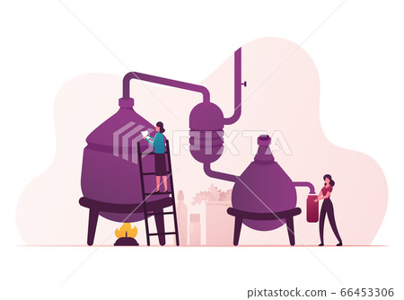 Essential Oil Creation. Characters Use Distillation Apparatus for Mixing Herbs and Organic Ingredients 66453306