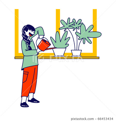Child Helper Watering Home Plant in Flowerpot on Windowsill from Watering Can. Gardening Hobby Child Helper Watering Home Plant in Flowerpot on Windowsill from Watering Can. Gardening Hobby 66453434