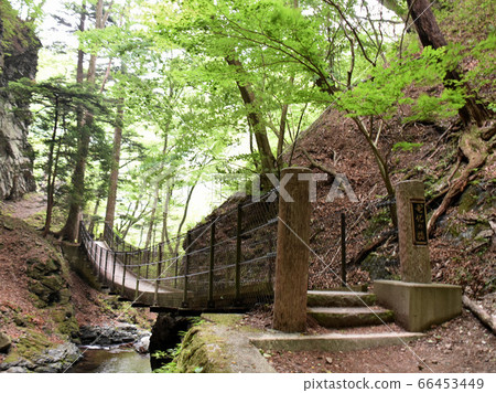 Toshigi Nasu-Shiobara-shi Ryuka Falls 66453449