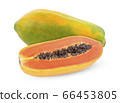 papaya isolated on white background 66453805