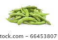 green soybeans on white background 66453807