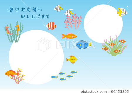 Summer greeting card tropical fish photo frame background 66453895