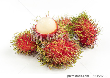 Small group of rambutan 66454290