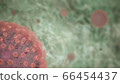 COVID-19 coronavirus wallpaper 66454437
