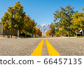 View of an empty street with Black Mountain in the background in Independence, California, USA 66457135