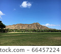 Diamond Head 66457224