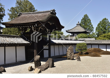 北條南條和卡拉蒙 66457502