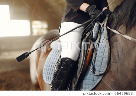 The rider in black form trains with the horse The rider in black form trains with the horse 66459698