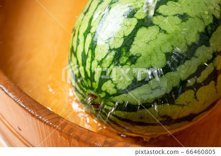 Cool the small watermelon in a tub 66460805
