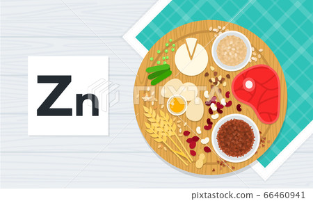 Vitamin Zn vector flat illustrations. Products with the maximum content of vitamin Zn. Vitamin Zn vector flat illustrations. Products with the maximum content of vitamin Zn. 66460941