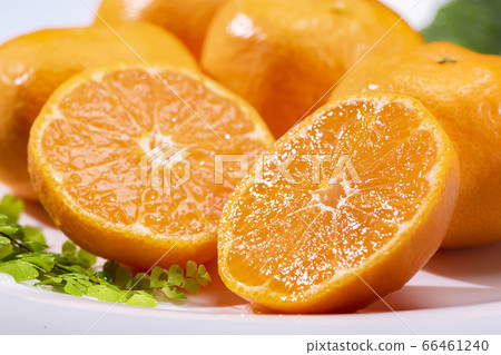 新鮮美味的橘子 66461240