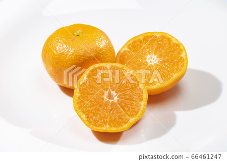 Fresh and delicious oranges 66461247