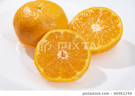 Fresh and delicious oranges 66461248