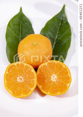 Fresh and delicious oranges Fresh and delicious oranges 66461251