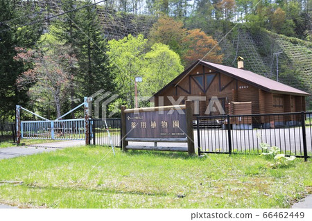 Yubari Tsumura / Medical Botanical Garden (Yubari City, Hokkaido) 66462449
