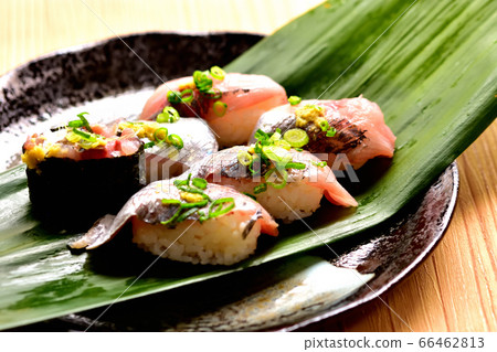 Fresh horse mackerel sushi 66462813